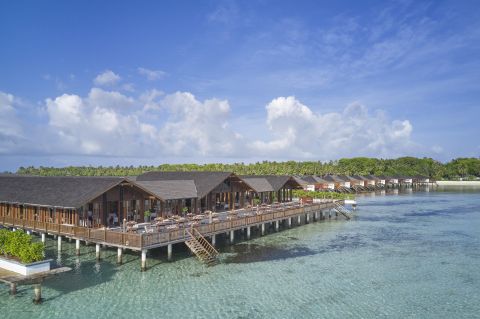 The Lagoon
