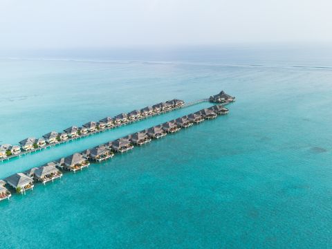 라이프스타일